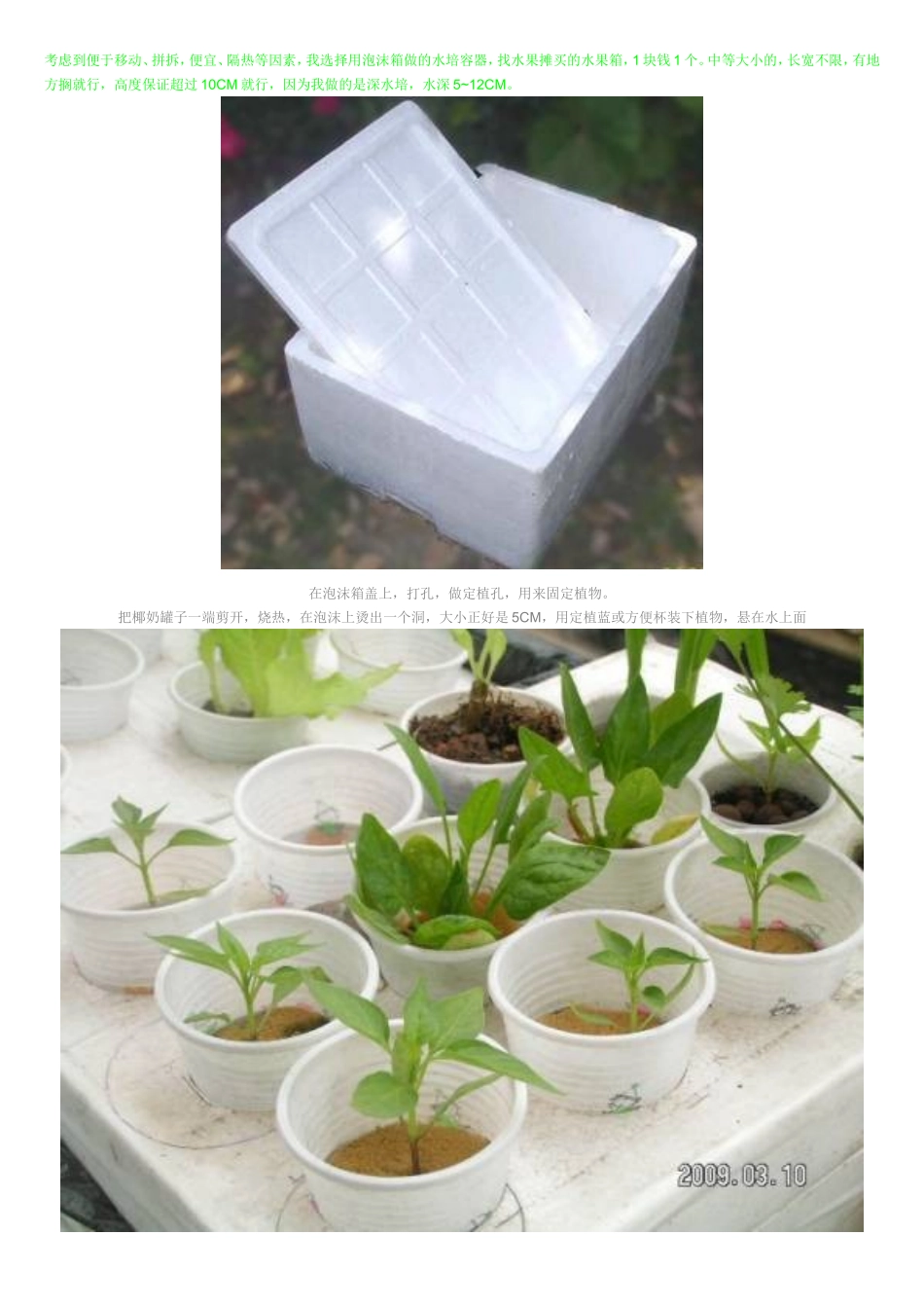 建造水培阳台菜园的得失家庭种植蔬菜  水培种植_第3页