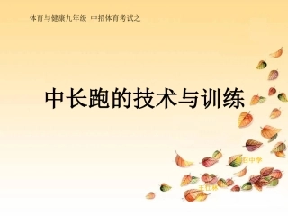 体育与健康九年级中招体育考试之中长跑技术与训练