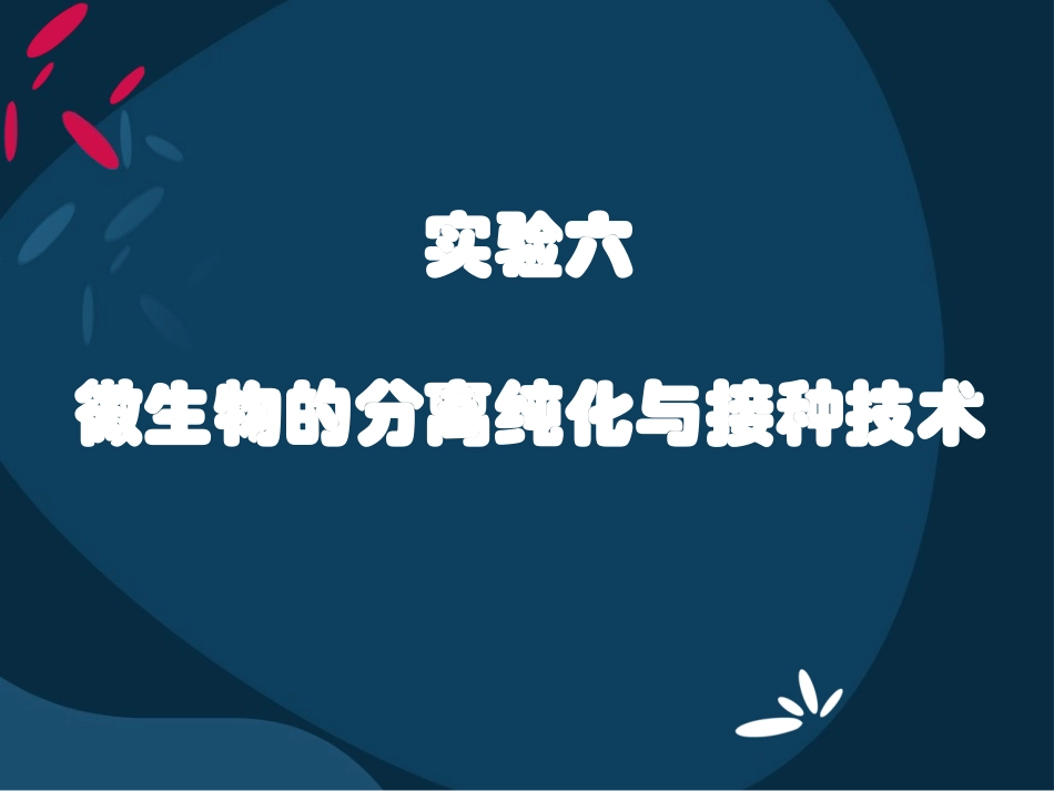 微生物的分离纯化与接种技术_第1页