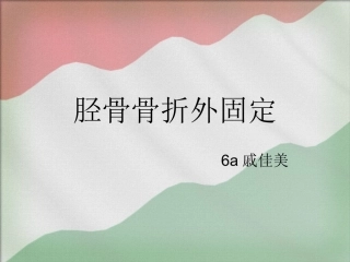 胫骨外固定支架