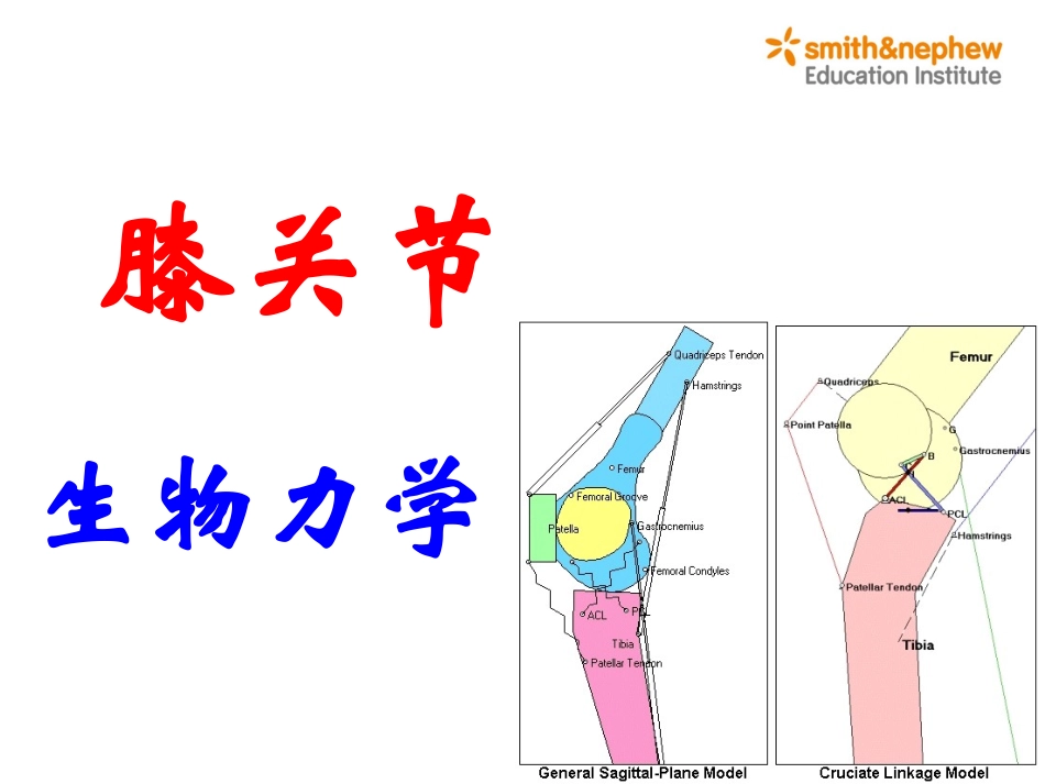 膝关节生物力学_第1页