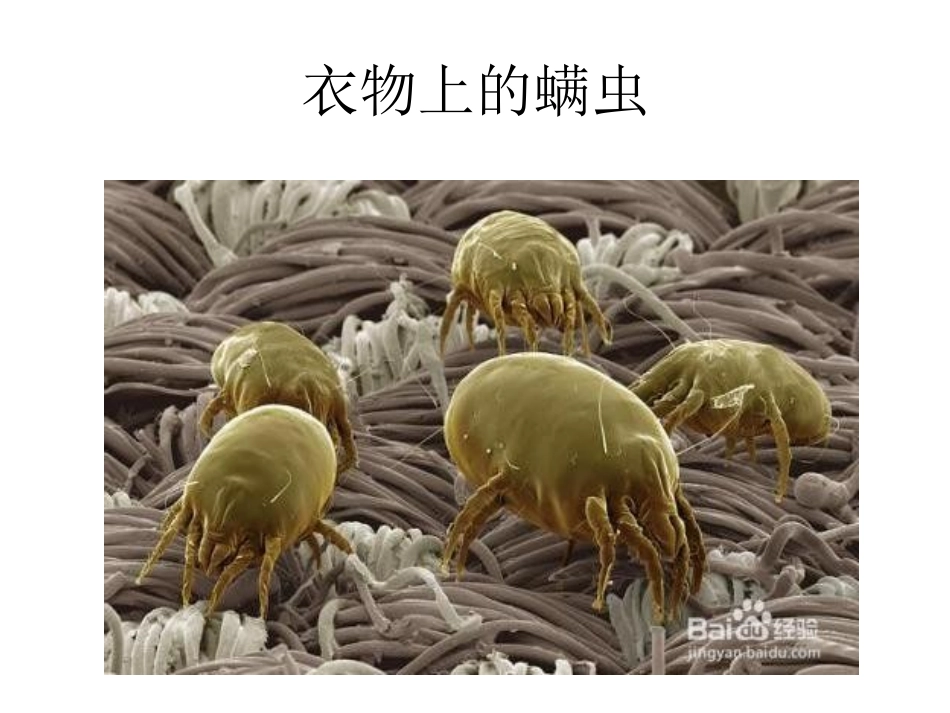 幼儿园洗手课_第2页