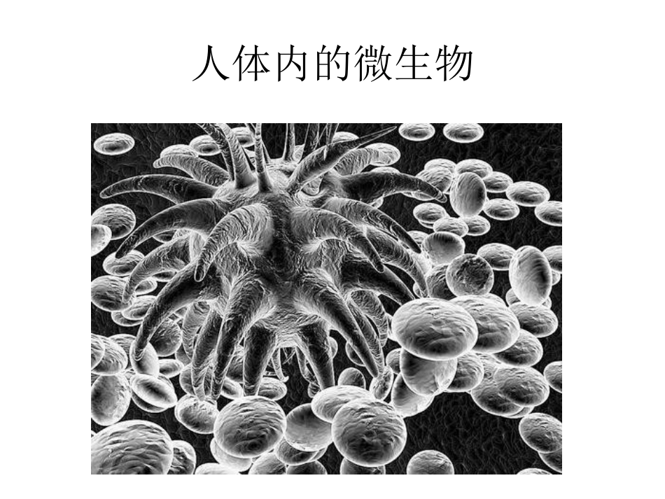 幼儿园洗手课_第3页