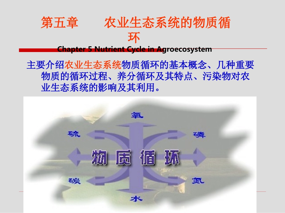 农业生态系统的物质循环_第1页