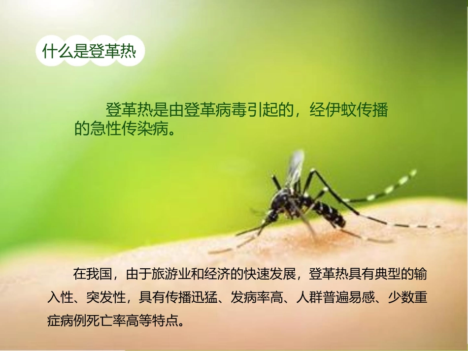 预防登革热知识讲座_第2页