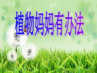 植物妈妈有办法