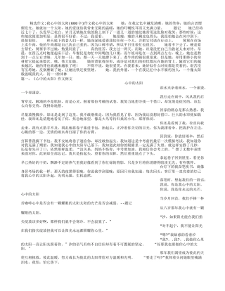 我心中的太阳(600字)作文
