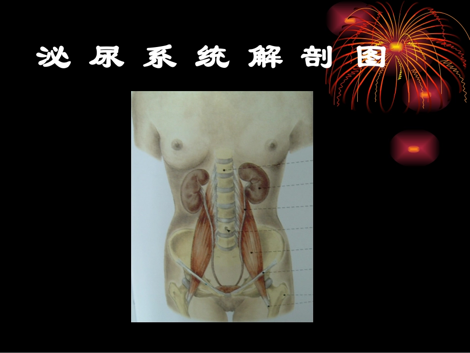 肾脏肿瘤影像学_第3页