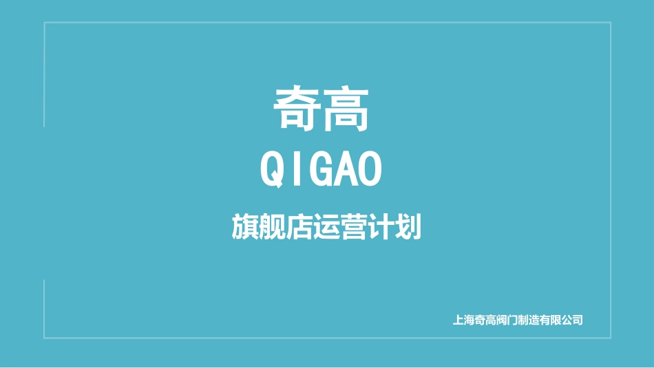 天猫运营计划_第1页