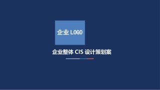 企业CIS方案模板
