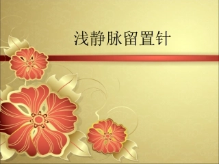 留置针-PPT(精)
