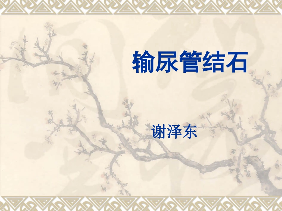 输尿管结石护理查房PPT_第1页