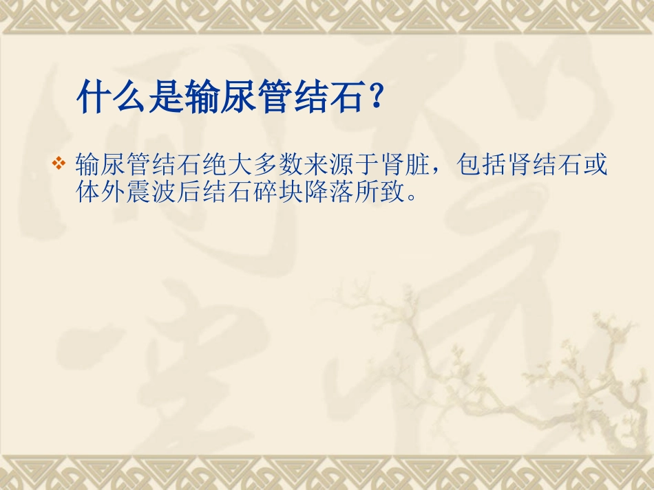 输尿管结石护理查房PPT_第3页