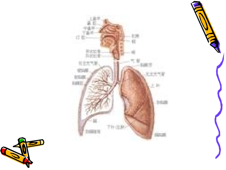秋冬季常见病预防知识_第3页