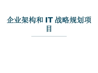 企业架构和IT战略规划项目