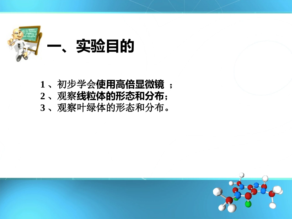 实验观察线粒体和叶绿体_第2页