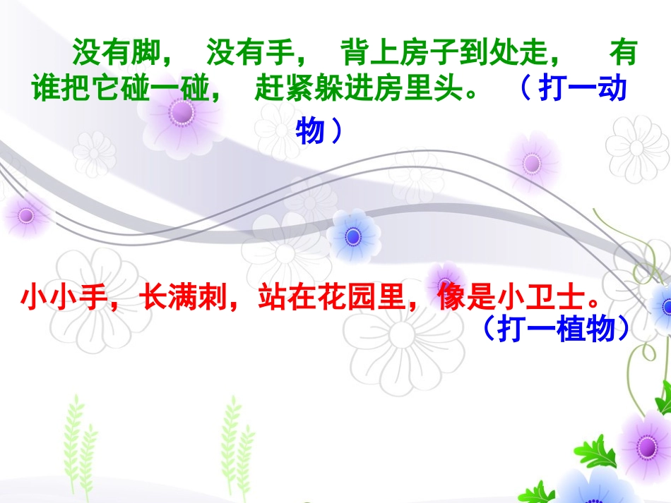 新《观察日记》课件_第1页