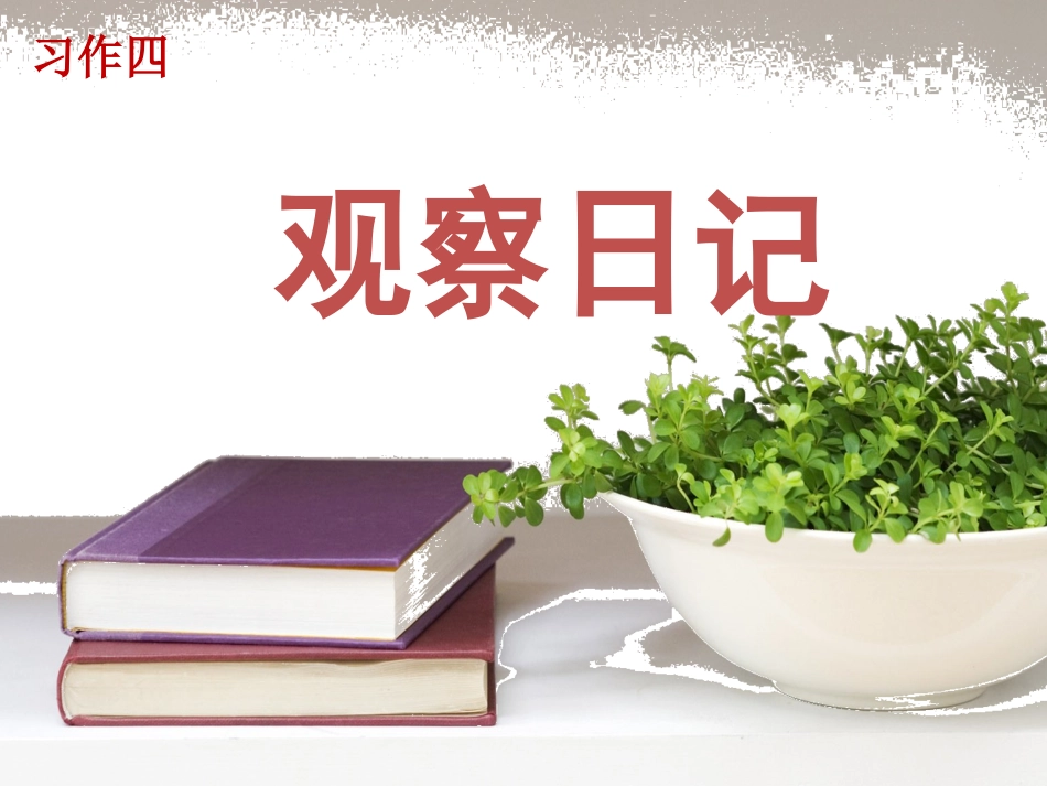 新《观察日记》课件_第2页