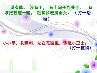 新《观察日记》课件