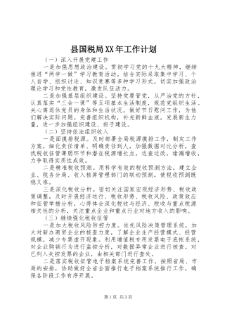 县国税局XX年工作计划