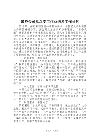 国资公司党总支工作总结及工作计划