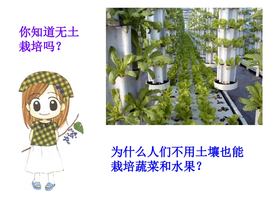一绿色植物的生长需要水和无机盐_第2页