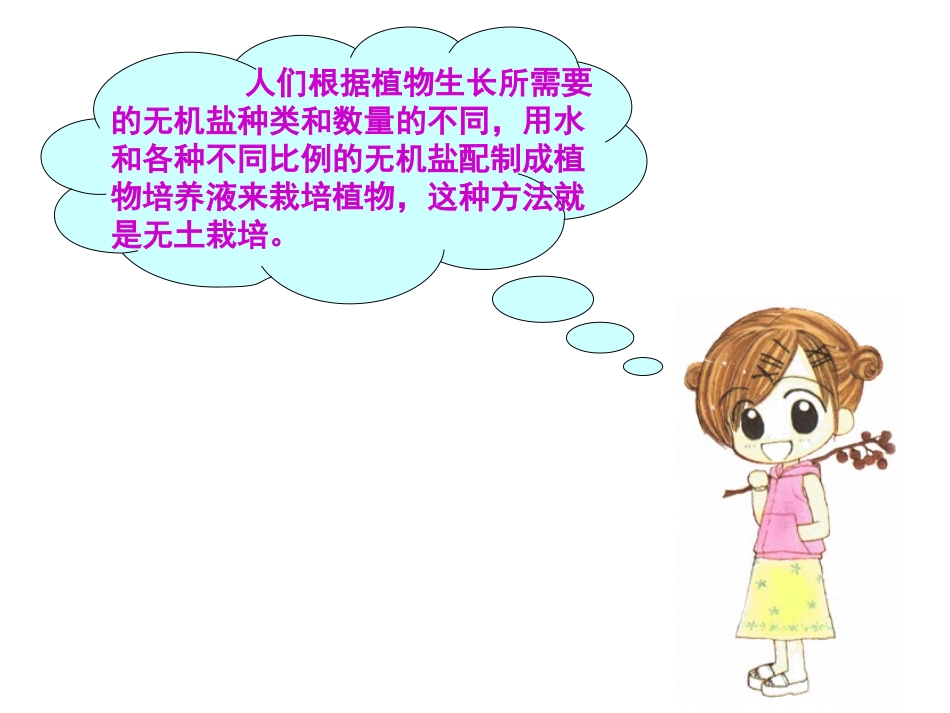 一绿色植物的生长需要水和无机盐_第3页