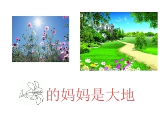 我们的妈妈是中国