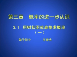 用树状图或表格求概率一