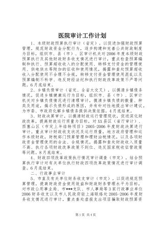 医院审计工作计划