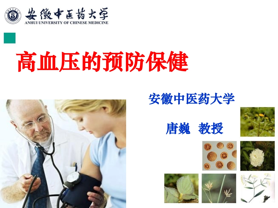 高血压的预防保健PPT_第1页