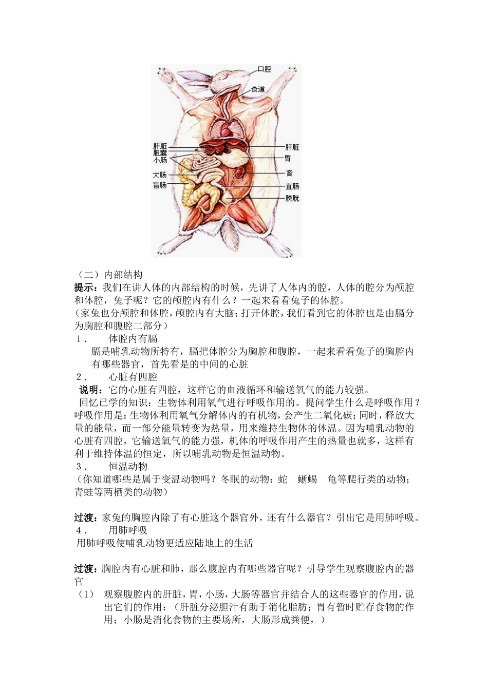 地面上的动物_第2页