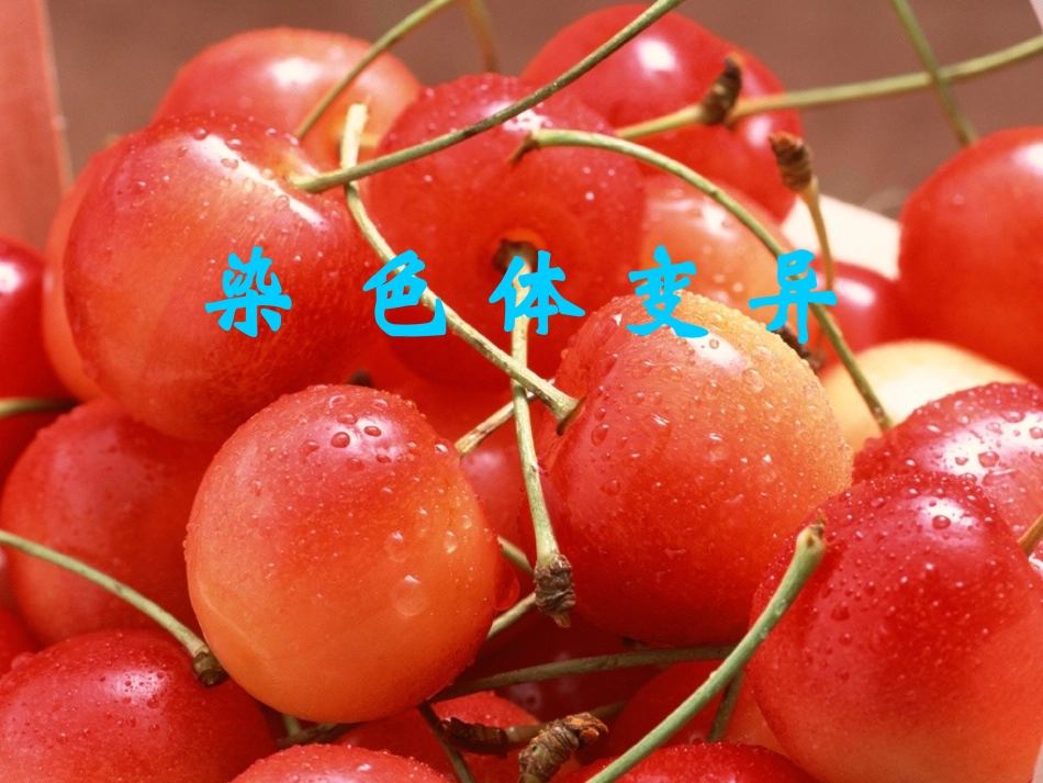 第5章第2节染色体变异课件_第1页