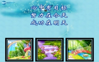 中学主题班会心中有目标努力在今天成功在明天课件