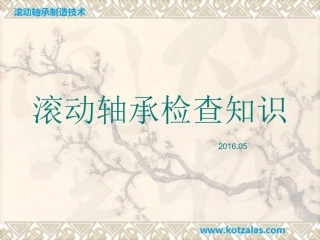 滚动轴承检查基础