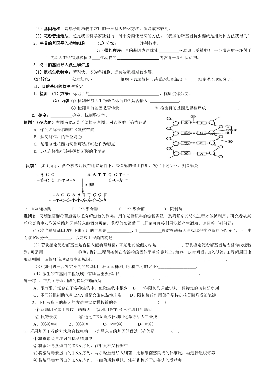 生物选修三复习导学提纲_第2页