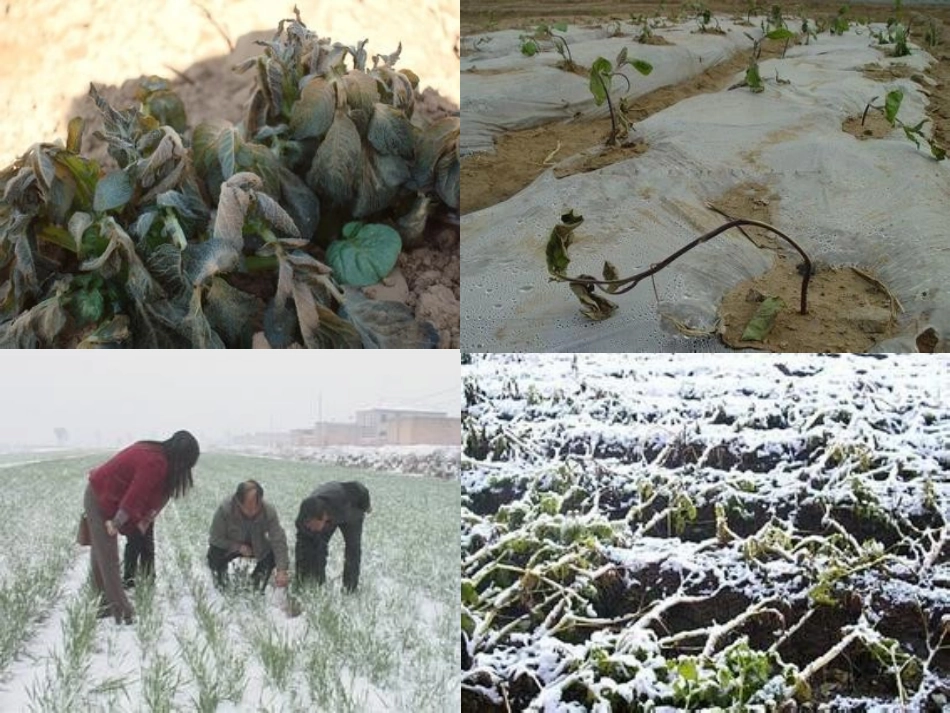 大气受热过程_第3页