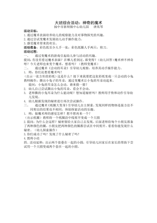 大班综合活动神奇的魔术简案
