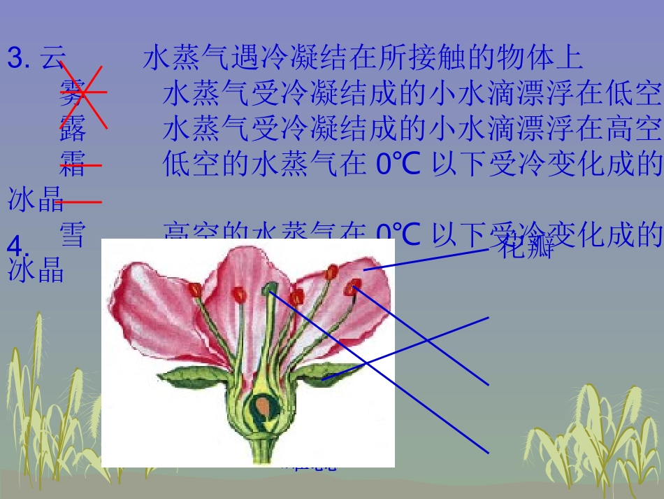 科学三下期末分类复习4连线读图_第2页