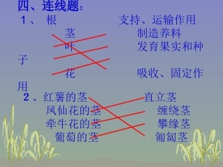 科学三下期末分类复习4连线读图