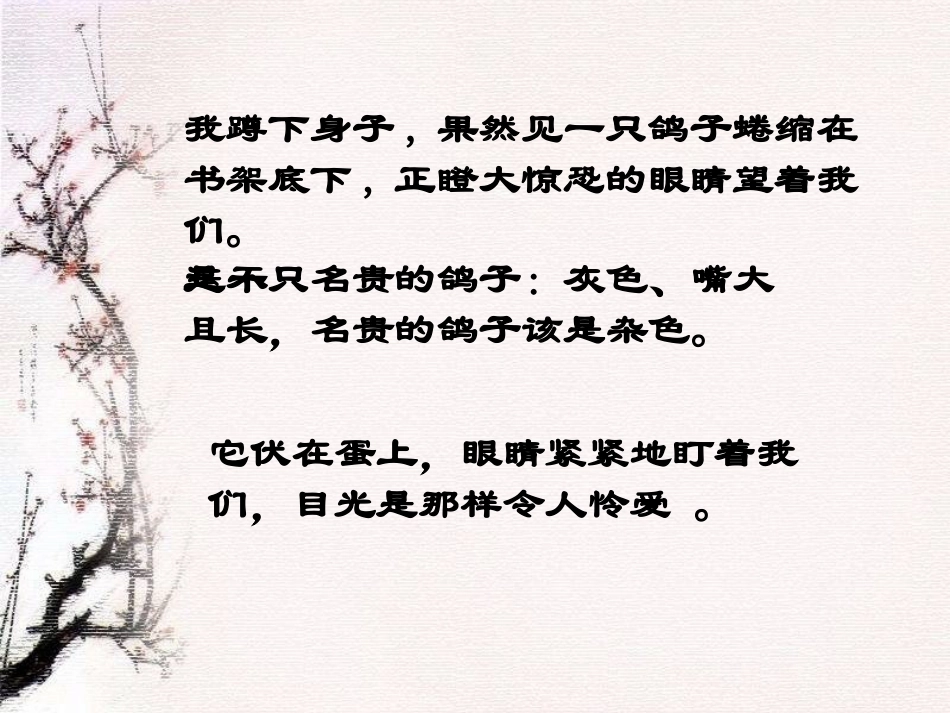 明天不封阳台 (4)_第3页