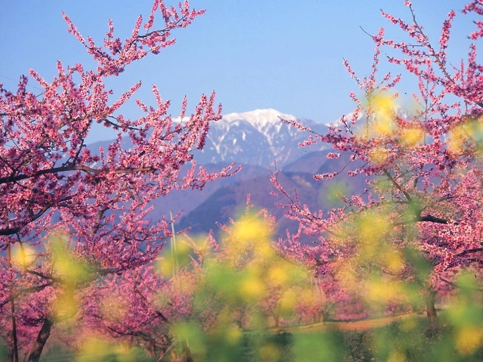 温度计的课件_第3页