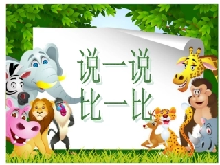 中班数学《比比说说》