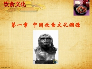 中国饮食文化(完整教案)