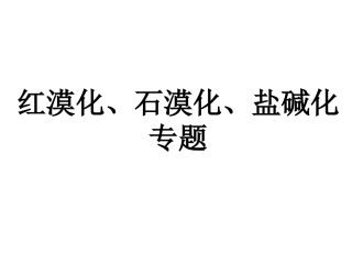 红漠化、石漠化、土地盐碱化专题