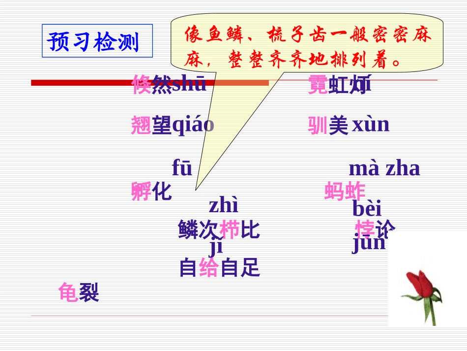 《明天不封阳台》课件（29页）_第2页