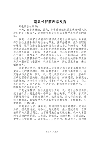 副县长任前表态发言