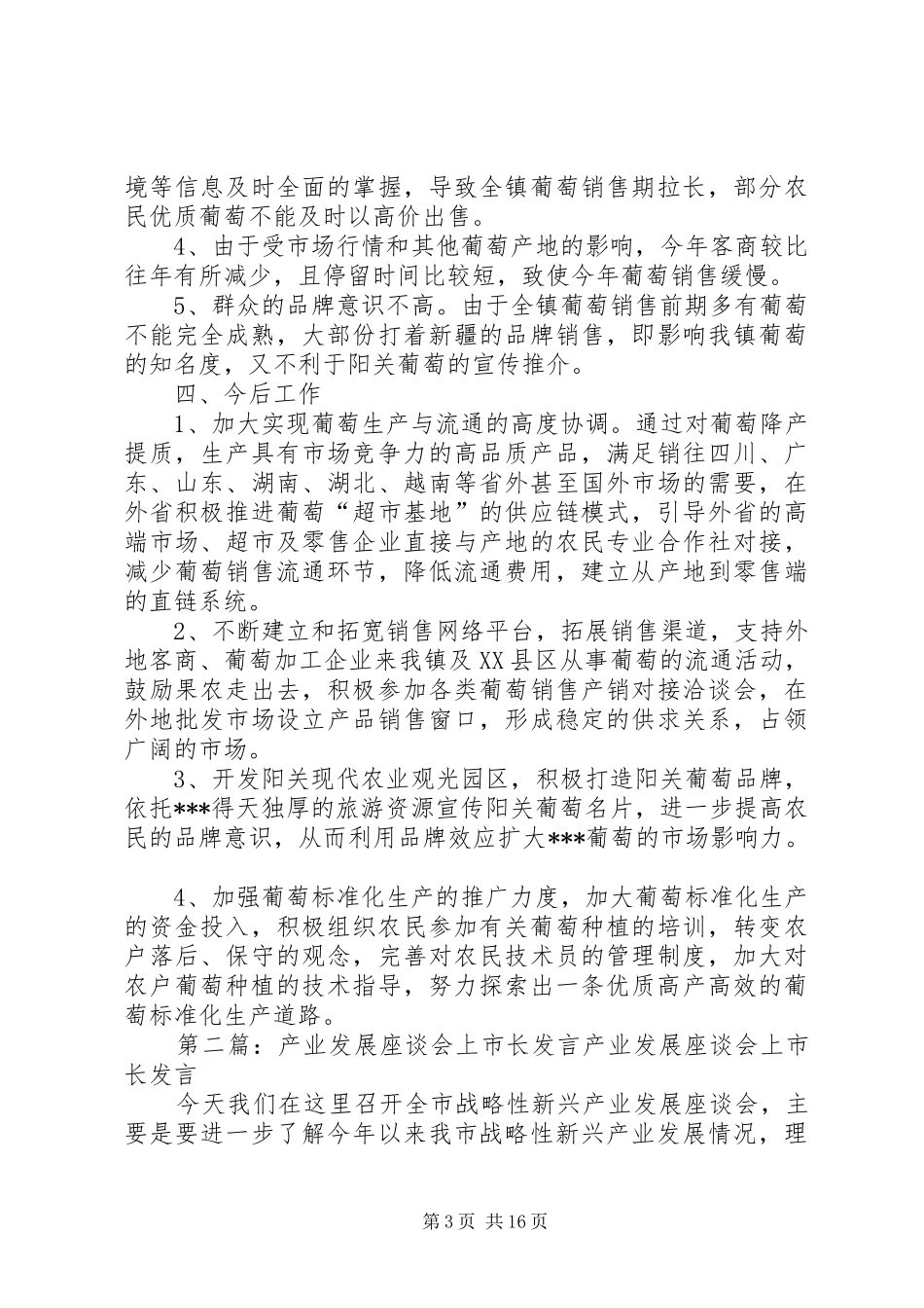 张市长调研座谈会发言材料_第3页