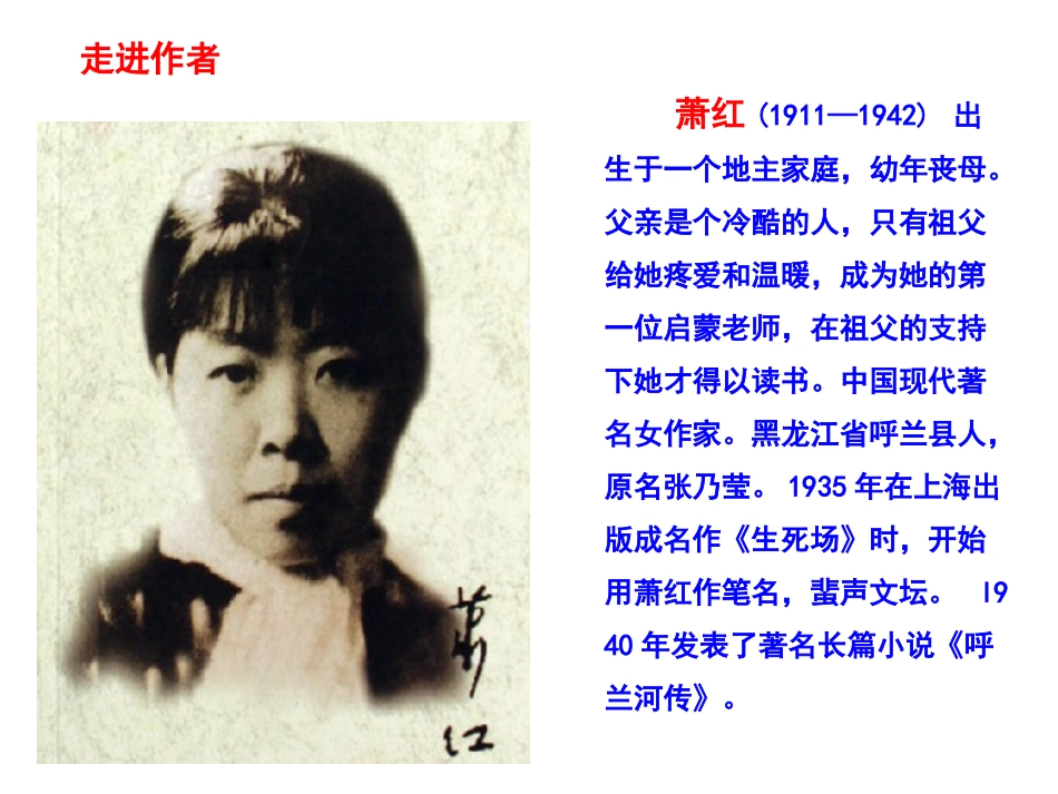 《我和祖父的园子》已修改_第2页