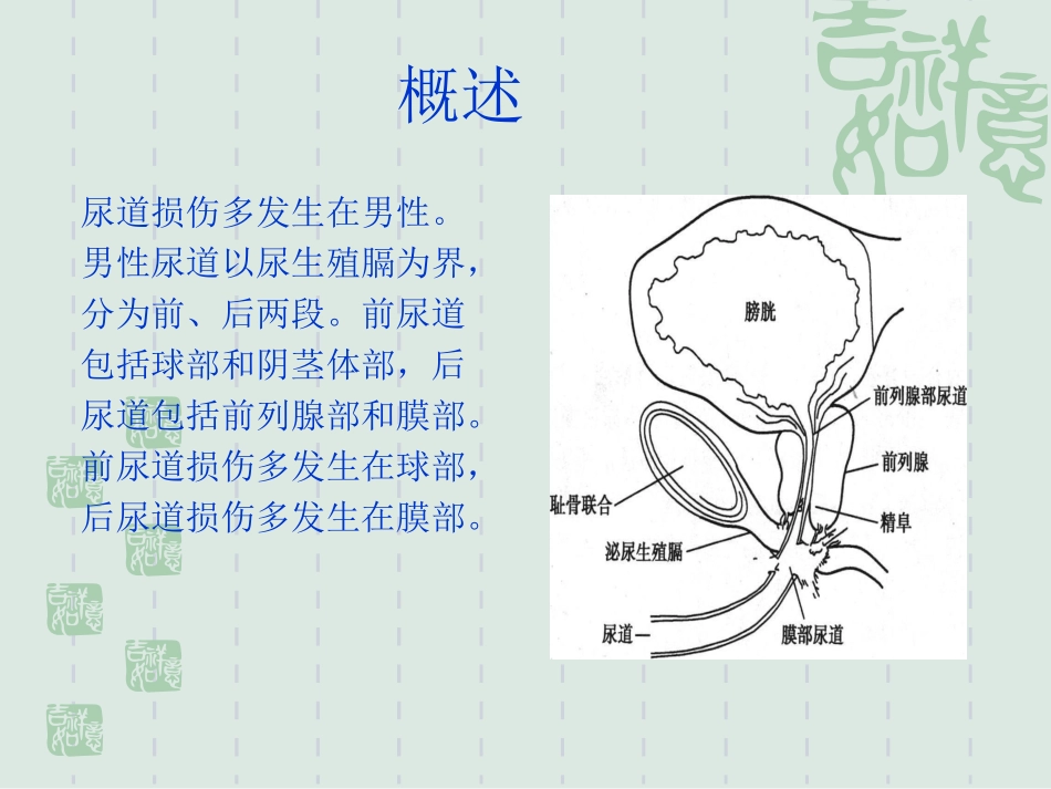 尿道损伤的治疗与护理_第2页